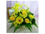 Double Dip Green - 12 Stems Basket